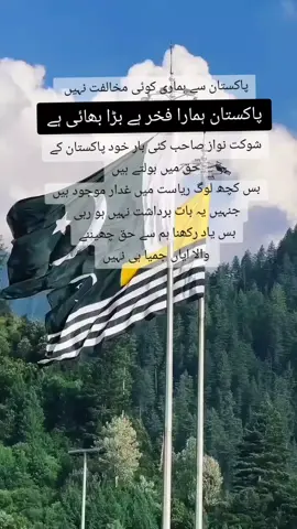 #foryoupage❤️❤️ #kashmiri #unfreezemyacount #standwithkasmir 