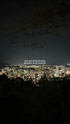and it’s only 1st month crazy.. #seoul #southkorea #studyabroad #aesthetic #fyp 