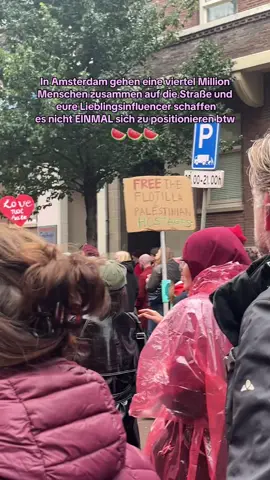 ⭐️ verstehe dass man seine Reichweite nicht riskieren will, aber um welchen Preis 🙇🏼‍♀️ 2025 unpolitisch bleiben zu wollen ist  gaaar nicht cute😞✊🏻 #palestine#freepalestine#palästina#rodelijn#amsterdam