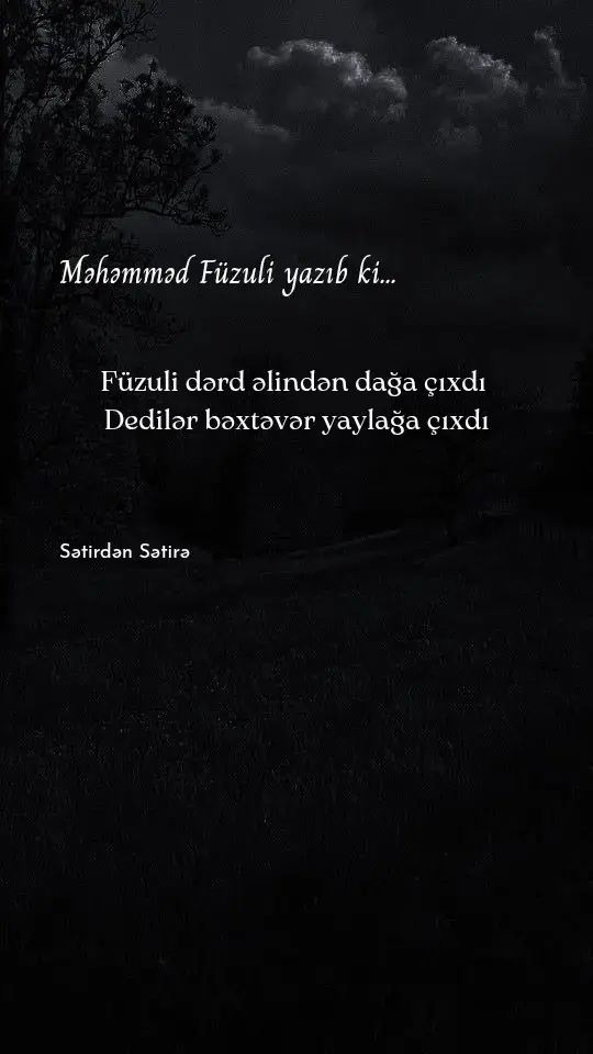 #sətirdənsətirə #shairruhlu 