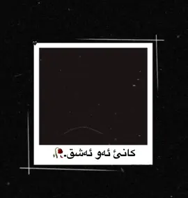 Shorash gulli 🪽 #creatorsearchinsights #fouryou #zaxo_duhok_hewler_slemani_hawler #fyp #acc @shorashgullisaz 