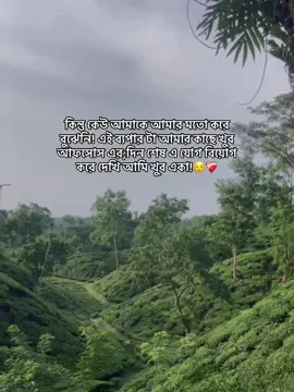 কিন্তু কেউ আমাকে আমার মতো করে বুঝেনি! এই ব্যপার টা আমার কাছে খুব আফসোস এর;দিন শেষ এ যোগ বিয়োগ করে দেখি আমি খুব একা!😌❤️‍🩹#foryou #foryoupage #fyp #bangladesh #jihad_ahmed41 @For You @TikTok Bangladesh @— 𝙹𝙸𝙷ꫝ𝙳  :)          𝐌♾️ 