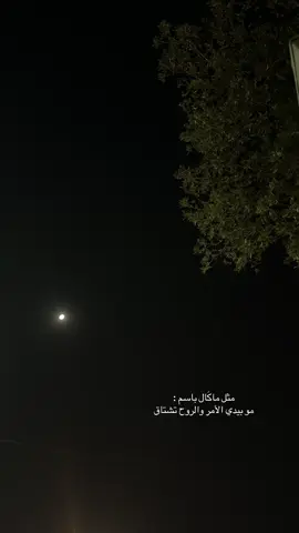 مو بيدي الأمر والروح تشتاق😔🎶#تصميم_فيديوهات🎶🎤🎬 