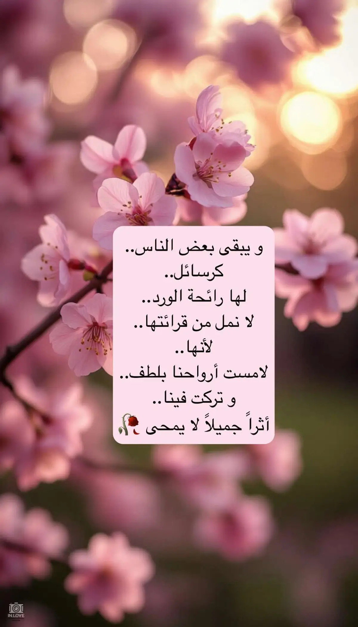 #شكرا #اصدقائي #حب #اقتباسات #اكسبلور 