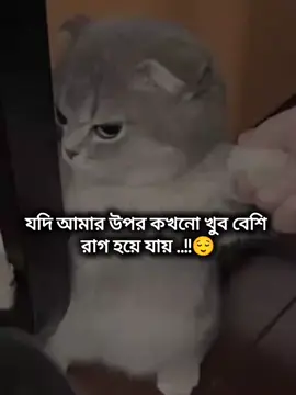 😁🤧 . . . . . . .#janu #tiktokviral #foryoupageofficiall #foryoupage❤️❤️ #tiktok 