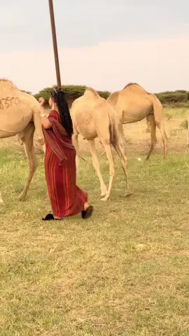 #🐪CL 😁🤪
