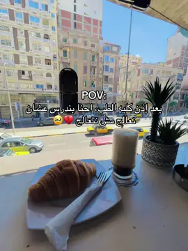 #جامعة_الاسكندرية #كليه_الطب #مصريين #الدكتور_تامر_طميزة #fyp 