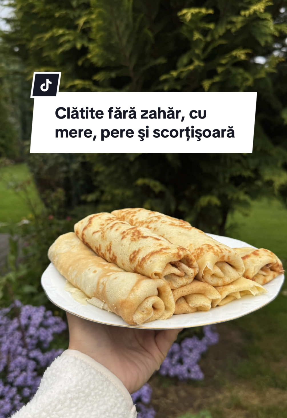 Cred că le mai lipsea un sos de vanilie şi mă teleportau direct în vacanță în Alpi 👌😂  #clatite #fyp #zerozahar #nosugar #nosugardessert #nosugarchallenge #healthysweets 