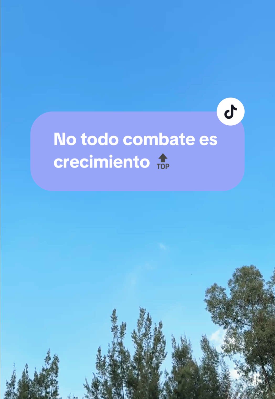 Elige tus batallas con sabiduría y sin precipitarte.  Elige tu paz por encima de cualquier situación y de cualquier persona 🤍✨ No todo combate es crecimiento y no toda renuncia es derrota ✨ #crecimientopersonal #derrota #saludmental #suelta #semillasdegratitud 