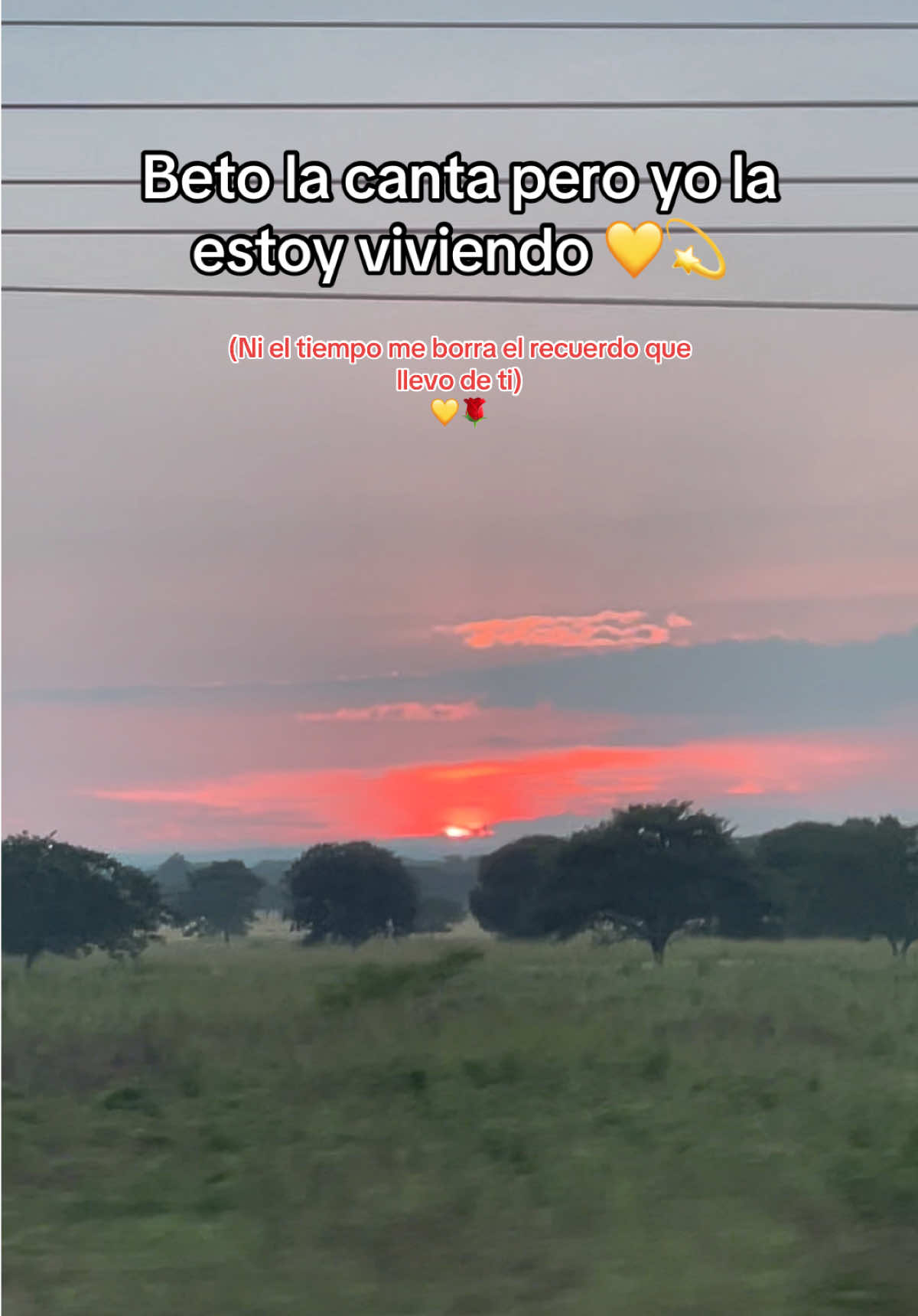 SI SUPIERAS 🤞🏻✨