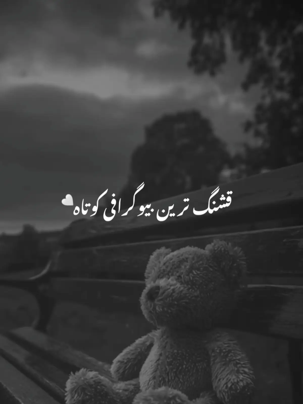 #جمله______های______غمگین____   #viral_video_tiktoktik_tok_foryoupage #تاجیک_هزاره_ازبک_پشتون_ترکمن🇦🇫 