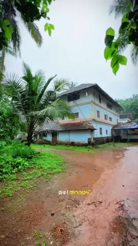 ഓർമ്മകൾ........ 🍃🌧️❤️