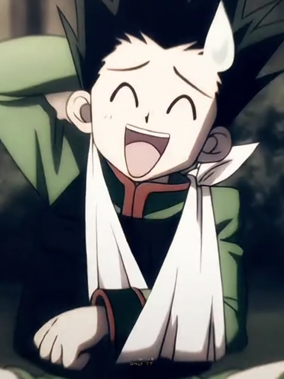 — ★ #GON || MY SHAYLA❤ ::  tgk - ponkwer #hunterxhunter #хантерххантер #рекомендации #edit 