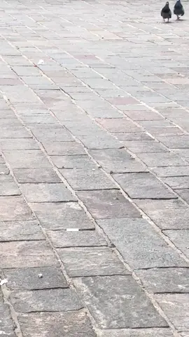 😂