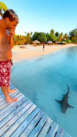 Ultima baie in vacanta cu rechinul 🤣❤️ #daticureveneala si intra pe www.razvanbotezatu.ro 