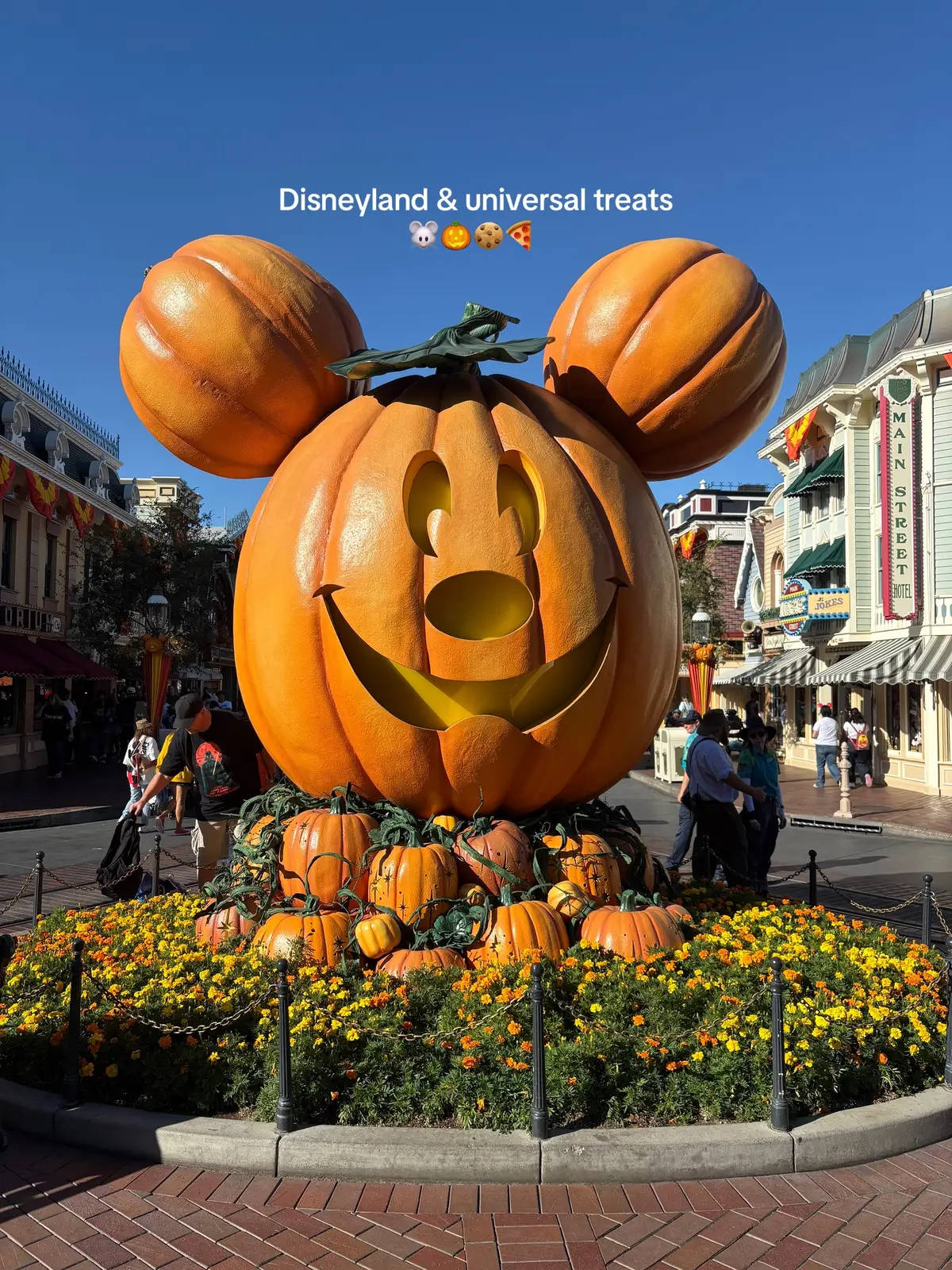 Alllll we’re so so yummy. I def didn’t get as many as I wanted to. Disney was crazy packed. Also my phone died so some things didn’t get a picture 🥲 #disneylandcalifornia #disneytreats #disneyeats #universalhollywood 