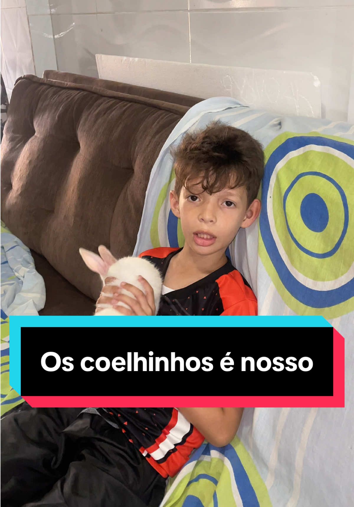 Os coelhinhos não são só seu! @ló 