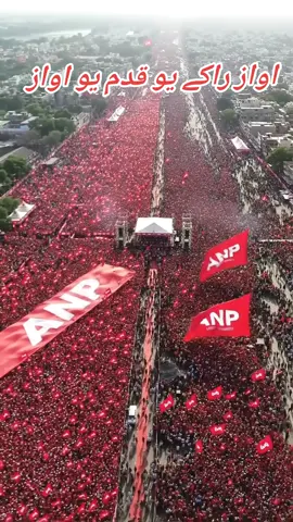 #creatorsearchinsights #viral #fyp #foryoupage #foryou 