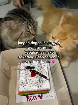 jangan tinggalin aku yan sayang 💗🥹🥹#katakatabucin💗 #bucinsad #khususbuatorangfaforitku 