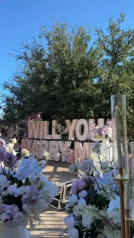 shot the dreamiest proposal ever!!