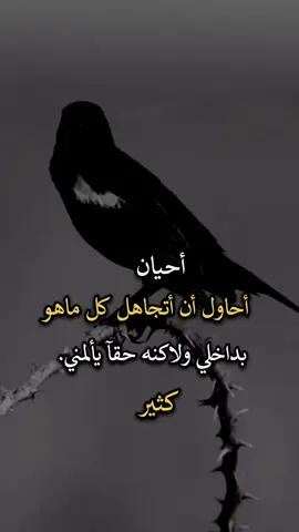 #عبارات #اجمل_عبارة_راح_ثبتها📌 #عباراتكم_الفخمه📿📌 #افضل_عبارة_لها_تثييت 