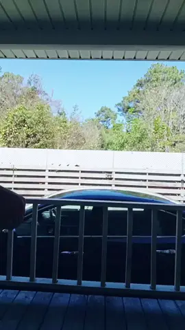 #fyp #tiktokcouple #soulmates #trending #tiktoker @Lawrence02Lewis 