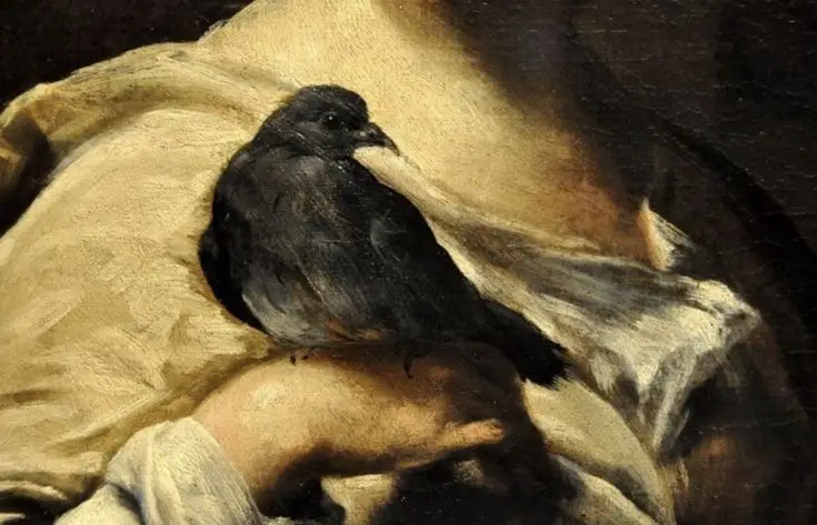 وما هوى الفؤادُ إلّا السَّلامُ، وما مبتغى الرُّوحِ إلّا الحيـاةُ، فأينَ جدرانُ الأمانِ استقَرَّت؟ وأينَ تسكنُ زهورُ الآمـالِ؟ أفي صَمتِ الليلِ تختبئُ الرؤى، أم في أنينِ الصبحِ يُروى المآلُ؟ تسيرُ الخطى في دروبٍ بعيدة، وتبكي الظلالُ على ما مضى، تُناجي الرّياحُ بقايا الحنينِ، وتُهدي الغيومُ رجاءَ الرّضا، فهل يستفيقُ الوجعُ من سُباتٍ، ويُزهِرُ في القلبِ يومًا نَدى؟ الْحَبِيب✒️. #اكسبلور #الحبيب #ابيات #شعر #كتابة 