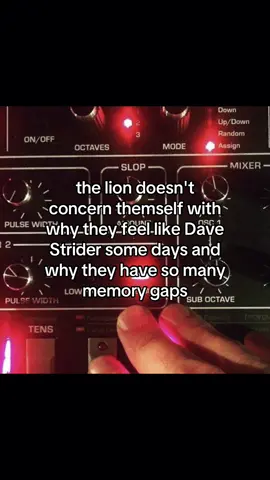 the lion actually does concern themself with this 🫩🫩  this is the lions way of telling the lion friends they are actually lions // #fyp #xyzbca #trending #lion #homestuck 