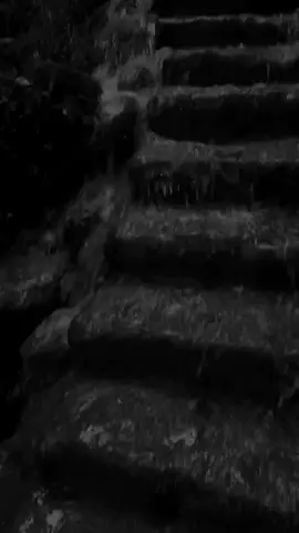 #fyp #fouryou #viralvideos #capcut_edit #تصميم_فيديوهات 