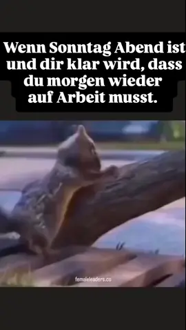 #😅😅😅😅 #arbeit #😜😜😜 #lustig #😂😂😂😂 