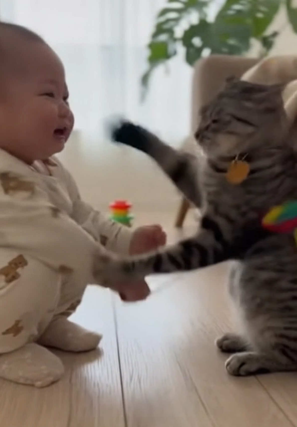 猫に怒られる赤ちゃん🐈‍⬛ #猫 #赤ちゃん 