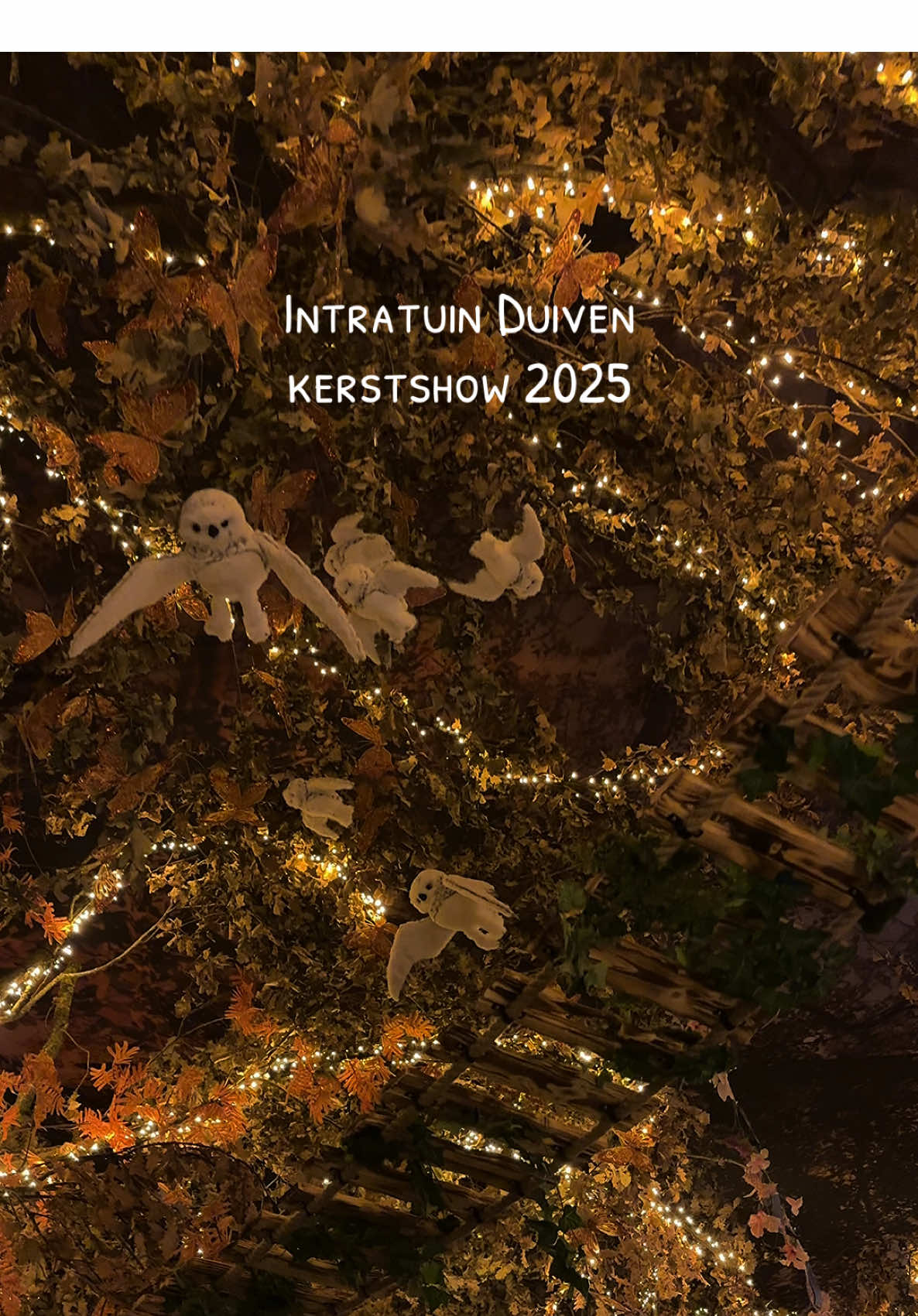 Intratuin Duiven kerstshow 2025 ✨ Tag de persoon met wie jij hierheen wilt! @Intratuin Duiven  🎅🏼🎄🎅🏼🎄🎅🏼 #intratuinduiven #kerstshow #christmas #kerst #duiven 