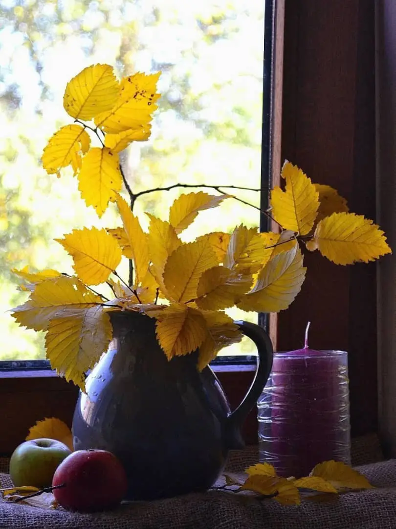 🌴خیزید و خز آرید که هنگام خزانست باد خنک از جانب خوارزم وزانست، آن برگ رزان بین که بر آن شاخ رزانست گویی به مثل پیرهن رنگ‌رزانست، دهقان به تعجب سر انگشت گزانست کاندر چمن و باغ، نه گل ماند و نه گلنار،،، 🍂🍁🍂🍁🍂