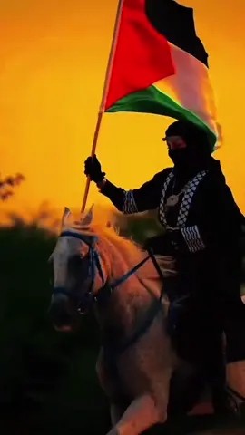 #creatorsearchinsights #freefalestine🇵🇸❤️ #onthisday #jumanjichallenge #muslimtiktok @Raayyaa Abbaa Maccaa @Ibsa Hassen @summawayyaa Tasfayee @sakina 🧕🦋  @Michuu☪️🧕  @Michuu☪️🧕  @Michuu☪️🧕 