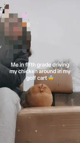 She has since passed away 💔 #fyp #chicken #funny #viral #67 