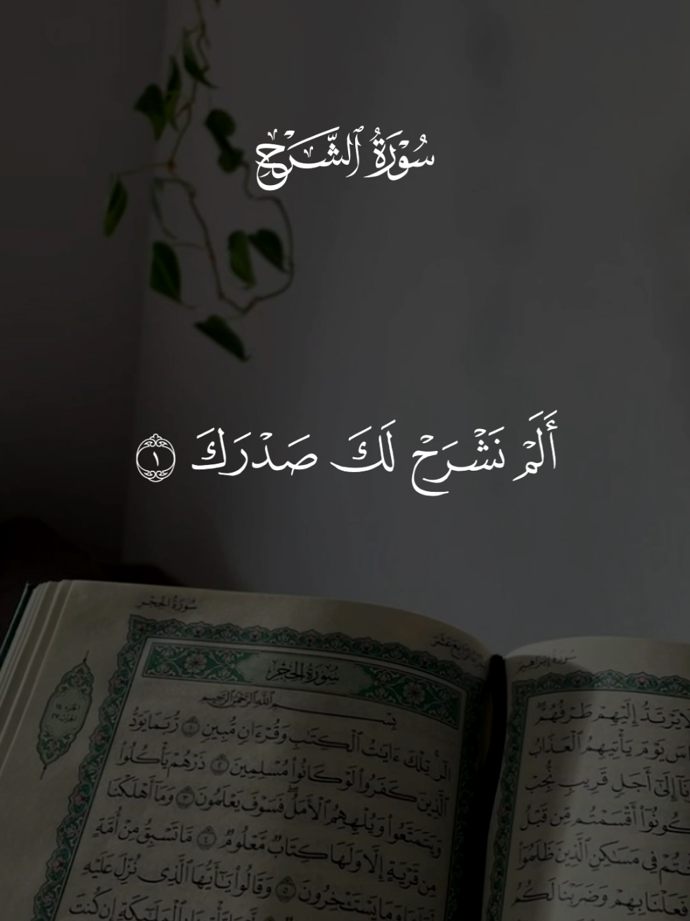 سورة الشرح 🩶 #قران #سعد_الغامدي #quran 