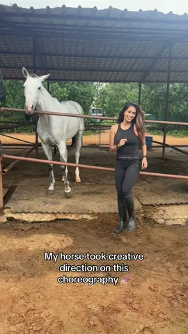 She’s in her director era. #horsesontiktok #funnyhorses #fyp 