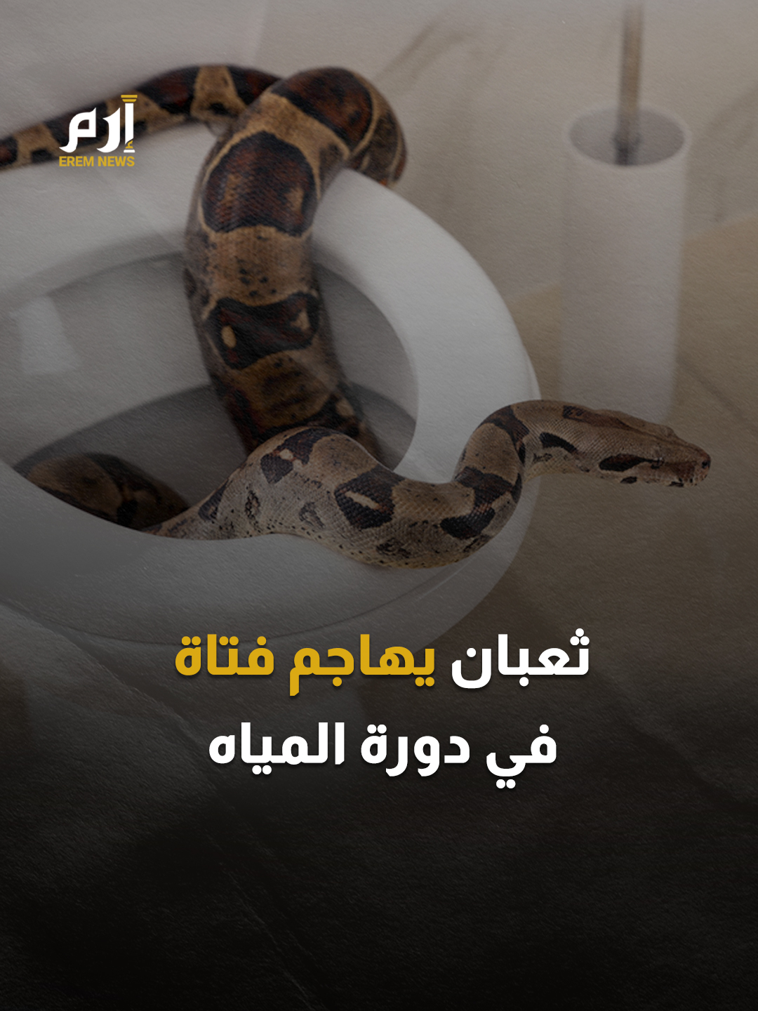 مفاجأة قاتلة.. ثعبان يخرج من المرحاض ويلدغ فتاة في #مصر #إرم_نيوز