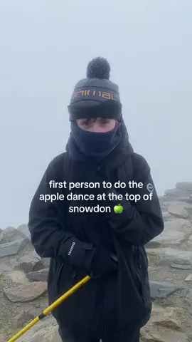 is this GenXCX core???? #fyp #snowdon #appledance #yrwdffa #charlixcx 