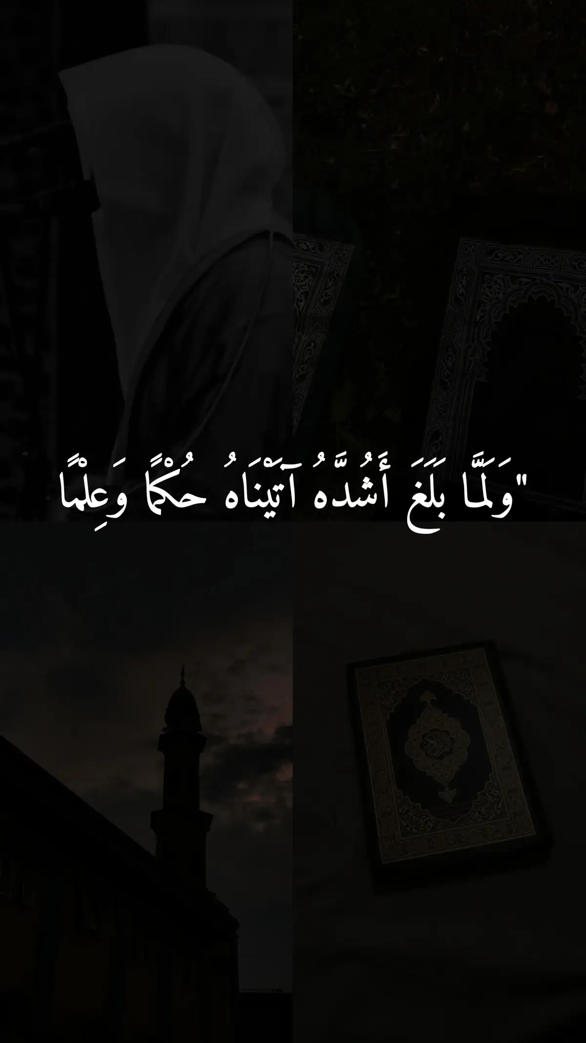 تلاوة خاشعة من القارئ سعود الفايز 🤍🌿💚#viral #quran #تلاوة_خاشعة #سورة_يوسف #explore 