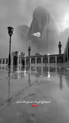 شـام الاگشر 💔💔..  .  .  .  .  . #حكايات_الطف #الشام #زينب_غريبه💔 #مرقد_السيده_زينب #السيده_زينب 