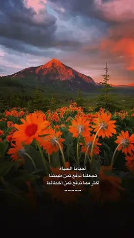 #CapCut #عبارات 