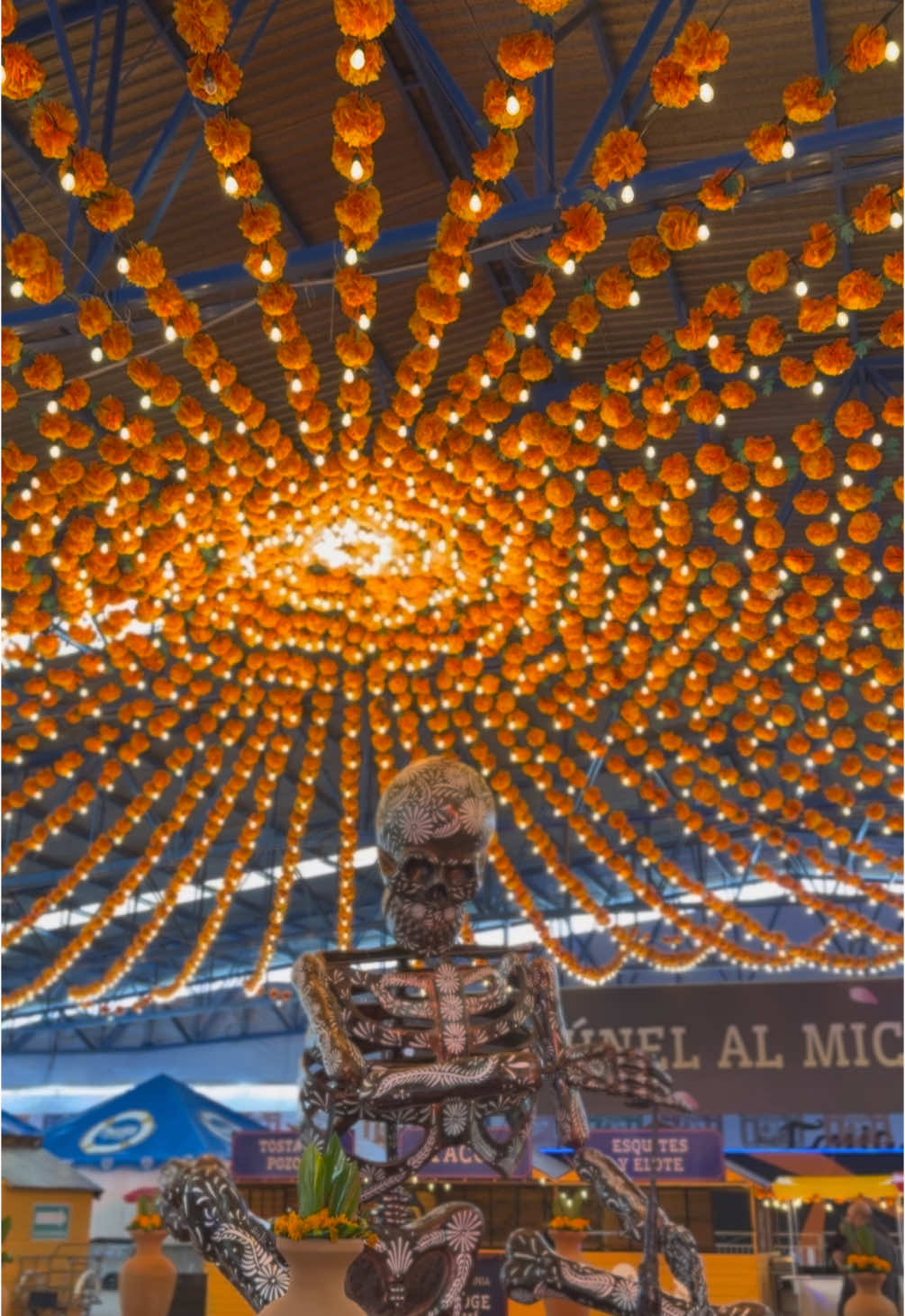 Valle de las catrinas 2025 en Atlixco 🤩🌼 #atlixco #catrinasatlixco #valledecatrinas #diademuertos #diademuertosmexico #mexico🇲🇽 #mexicocheck #tradiciones #viralditiktok  #vivamexico #viralvideos #viralvideotiktok  #tiktokviral 