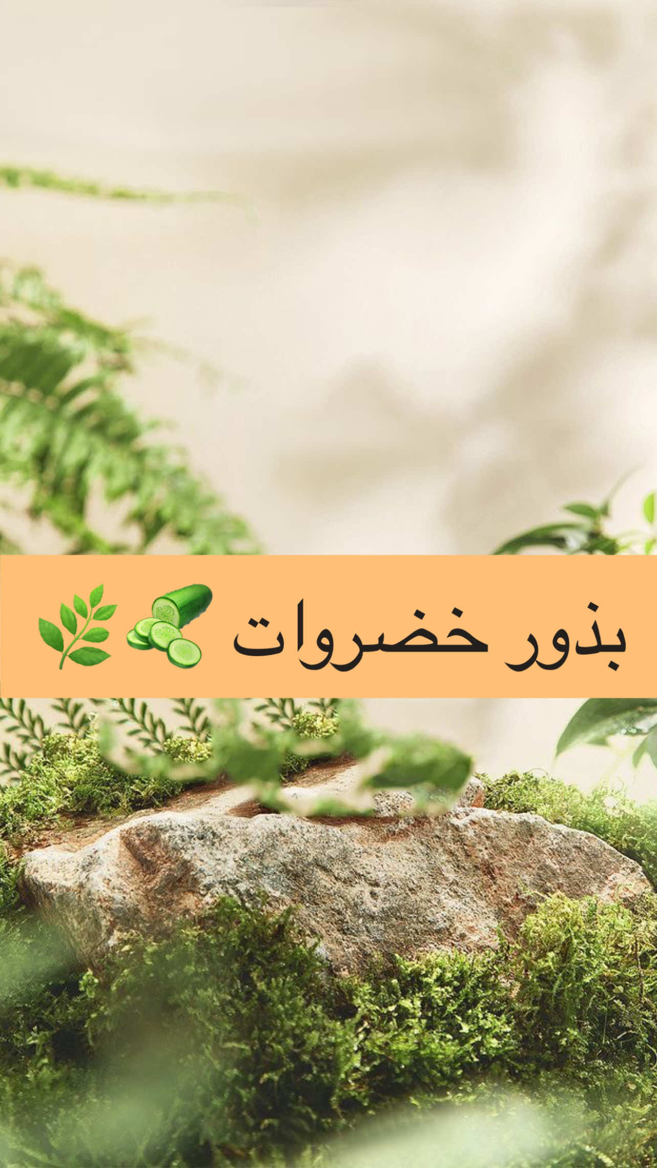 🌿 متوفر لدينا جميع أنواع بذور الخضروات 🌿 🥕 جودة مضمونة  🚛 نوصل لباب بيتك في البصرة وجميع المحافظات 📍 تجهيزات الجنوب الزراعية #تجهيزات_الجنوب_الزراعية #تجهيزات_الجنوب_الزراعية #ازهار #الجبس_الزراعي #زراعة 