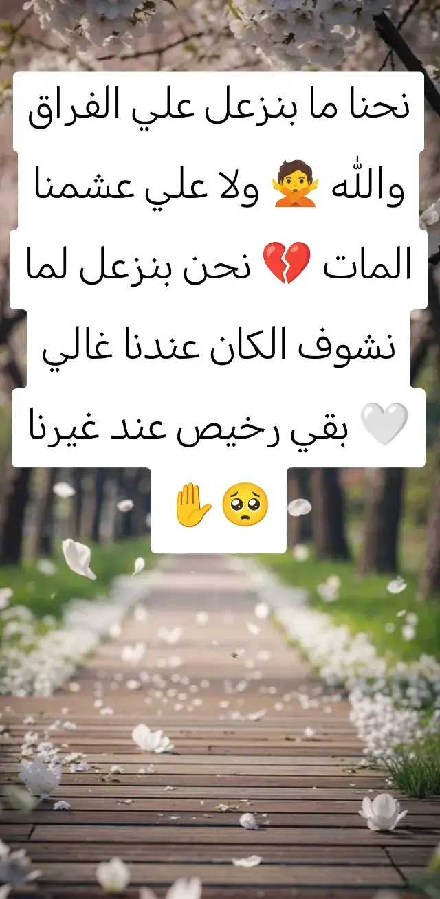 #مشهادات #مشهادات  المشهادات 100k