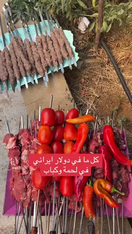 #كل ما في دولار ايراني  في لحمة وكباب