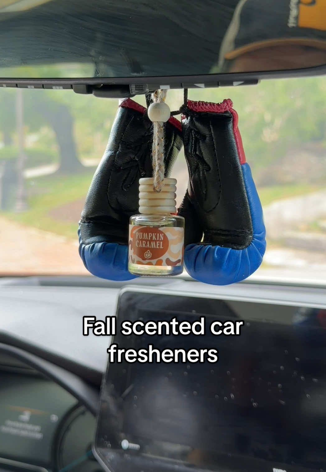 Fall fragrances are available in car fresheners now! Pumpkin caramel is my fav, but the homies have been loving crisp air and cardigans (green leaves, apple, cedar, peaches). #carfresheners #skyelight #falldealsforyou 