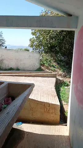 تطوان_صدينة🍃💚