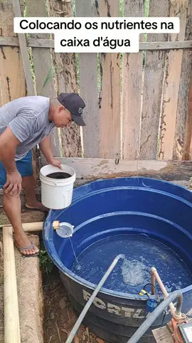 hoje foi dia de colocar os nutrientes #horta #plantacão #coentro #meudiaadia 