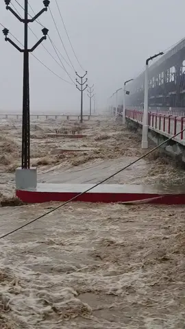 koshi barrage high alert news update Today  #koshibarrage #hamroaawaz #deepeshofficial #everyonehighlightsfollowers  koshi barrage news Today Bihar koshi River News 